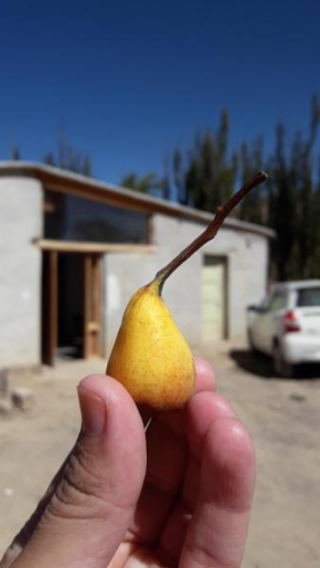 Posada Huacalera (Tropico de Capricornio)